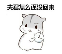 hamham仓鼠微信表情包老公老婆全套 仓鼠情侣专用表情包最新