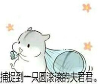 hamham仓鼠微信表情包老公老婆全套 仓鼠情侣专用表情包最新