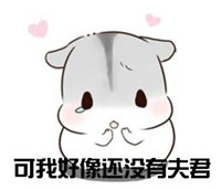 hamham仓鼠微信表情包老公老婆全套 仓鼠情侣专用表情包最新