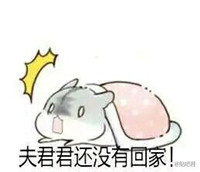 hamham仓鼠微信表情包老公老婆全套 仓鼠情侣专用表情包最新