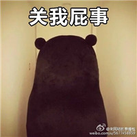 熊本熊带字关我屁事微信表情包 七夕关我什么事