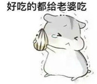 hamham仓鼠微信表情包老公老婆全套 仓鼠情侣专用表情包最新