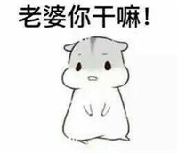 hamham仓鼠微信表情包老公老婆全套 仓鼠情侣专用表情包最新