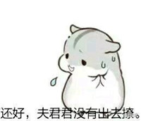 hamham仓鼠微信表情包老公老婆全套 仓鼠情侣专用表情包最新