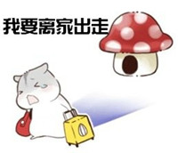 hamham仓鼠微信表情包老公老婆全套 仓鼠情侣专用表情包最新