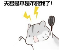 hamham仓鼠微信表情包老公老婆全套 仓鼠情侣专用表情包最新