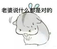 hamham仓鼠微信表情包老公老婆全套 仓鼠情侣专用表情包最新