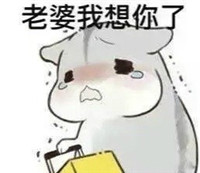 hamham仓鼠微信表情包老公老婆全套 仓鼠情侣专用表情包最新