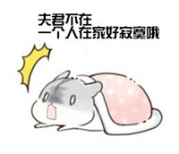 hamham仓鼠微信表情包老公老婆全套 仓鼠情侣专用表情包最新