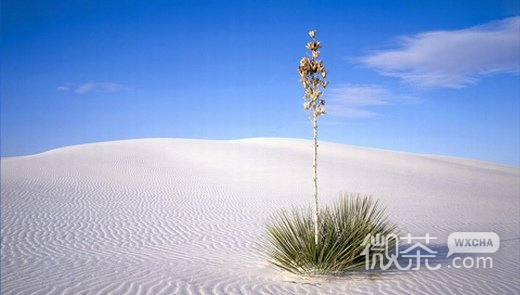 超好看的风景微信高清图片 心旷神怡