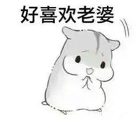 hamham仓鼠微信表情包老公老婆全套 仓鼠情侣专用表情包最新