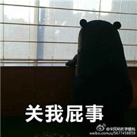 熊本熊带字关我屁事微信表情包 七夕关我什么事