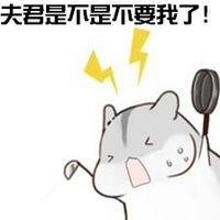 hamham仓鼠微信表情包老公老婆全套 仓鼠情侣专用表情包最新