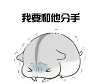 hamham仓鼠微信表情包老公老婆全套 仓鼠情侣专用表情包最新