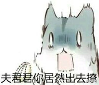 hamham仓鼠微信表情包老公老婆全套 仓鼠情侣专用表情包最新