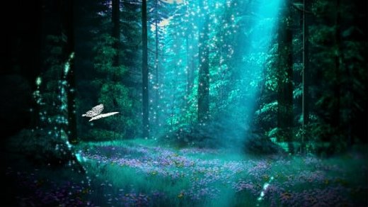 你不得不爱的梦幻仙境微信图片