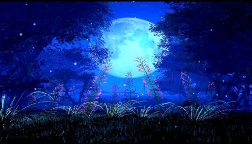 你不得不爱的梦幻仙境微信图片