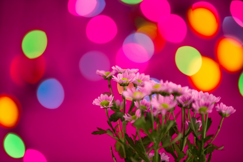 唯美花束微信高清图片