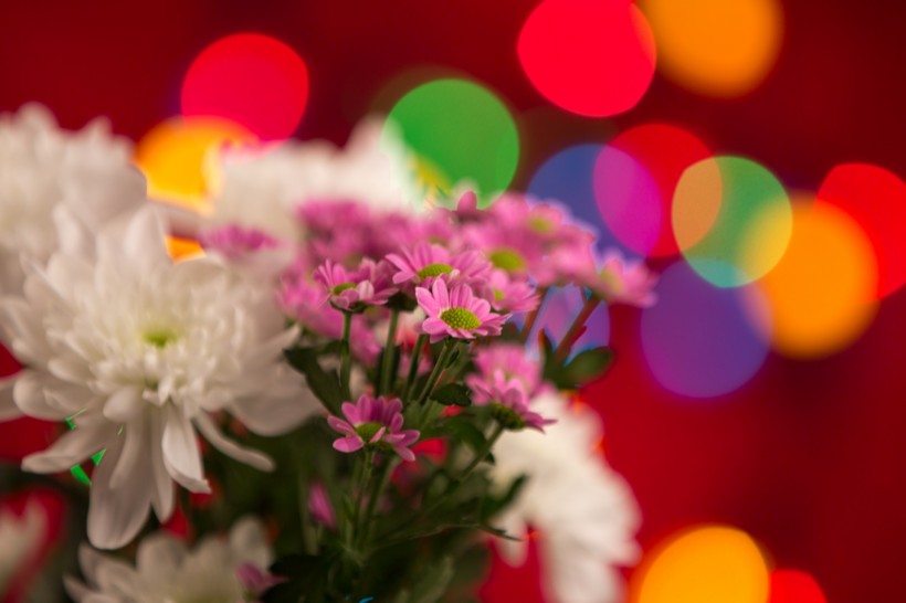 唯美花束微信高清图片