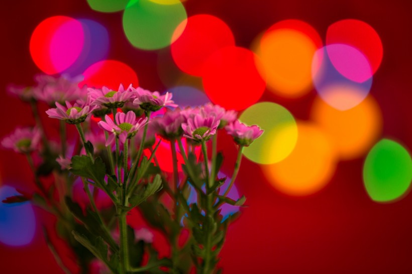 唯美花束微信高清图片