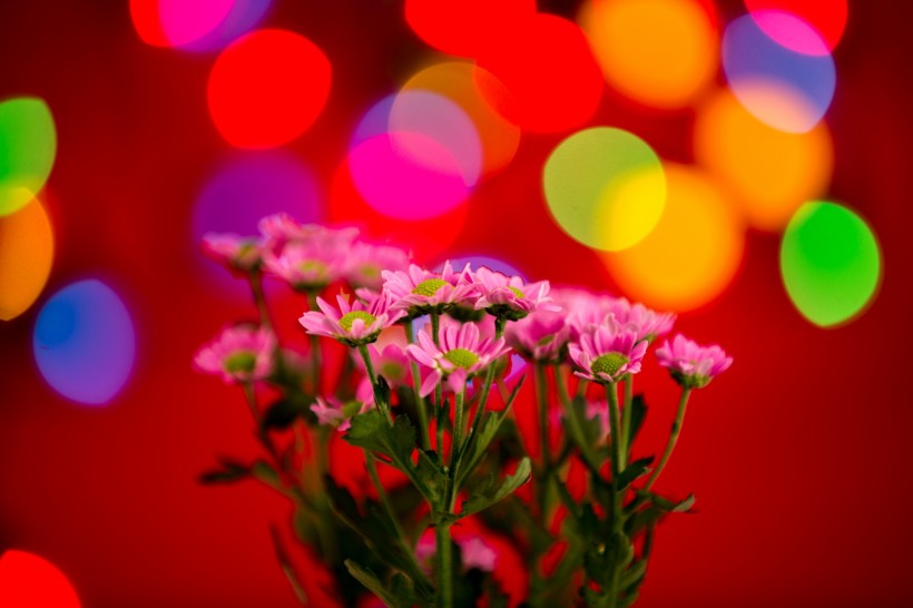 唯美花束微信高清图片