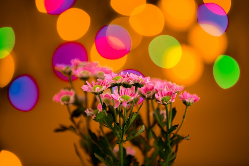 唯美花束微信高清图片