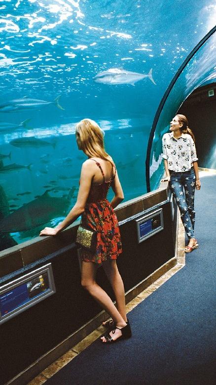 唯美欧美美女微信高清图片 欧美范！