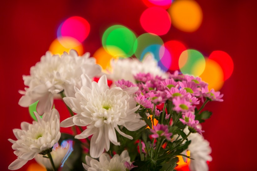 唯美花束微信高清图片