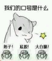 我们的口号是什么微信表情图 不服就干！