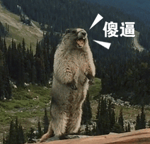 非常有魔性的土拨鼠gif微信表情包