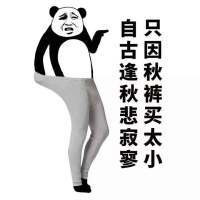 关于秋裤的洗脑搞笑表情包