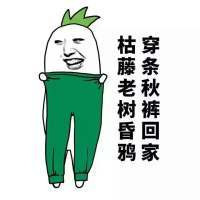 关于秋裤的洗脑搞笑表情包