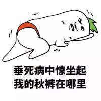 关于秋裤的洗脑搞笑表情包