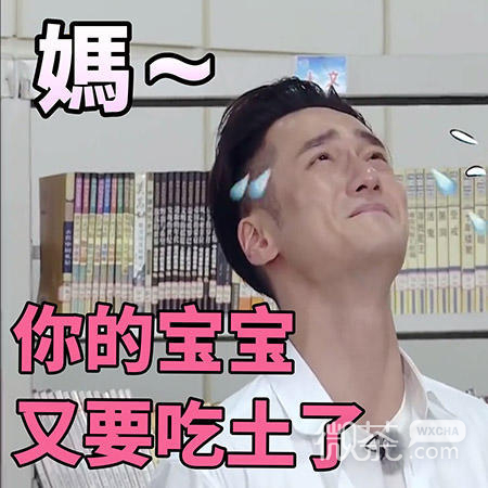 蒋劲夫微信表情包 最帅吃瓜群众表情
