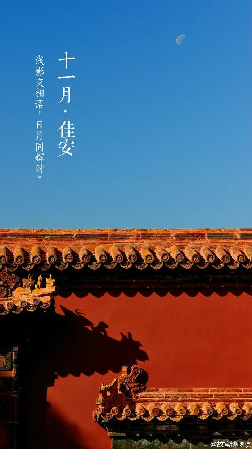 十一月佳安唯美图片大全