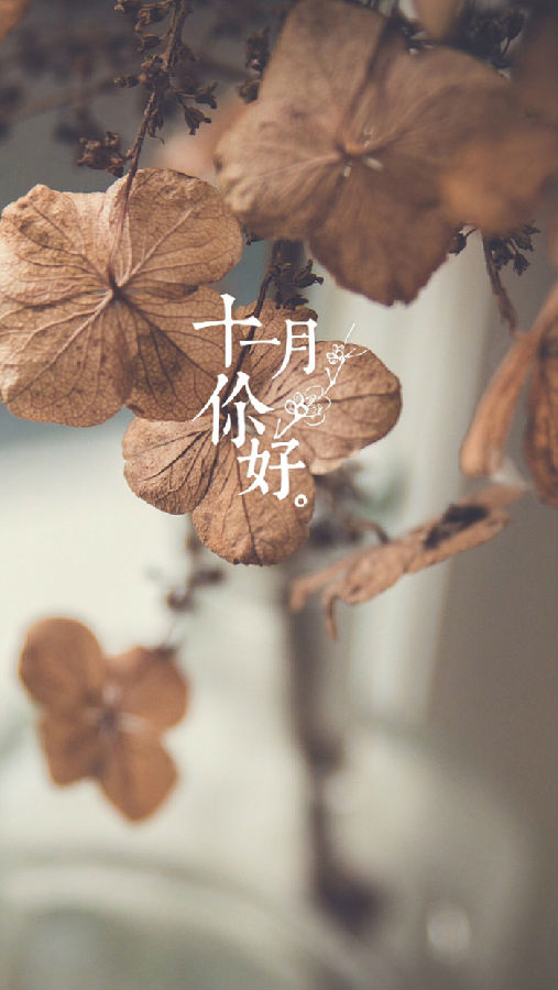 十月再见十一月你好的图片大全