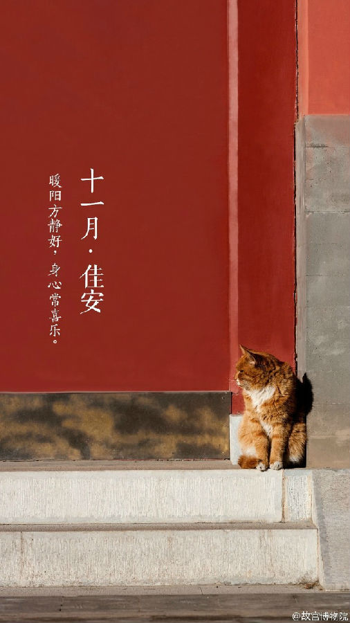 十一月佳安唯美图片大全