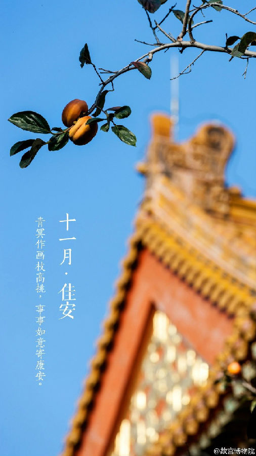 十一月佳安唯美图片大全