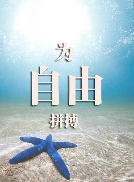 带有文字的励志背景风景皮肤 没有背景更要有鲜衣怒马的背影