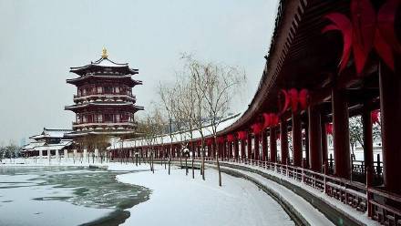 西安唯美意境雪景图片大全 一下雪西安就成了长安