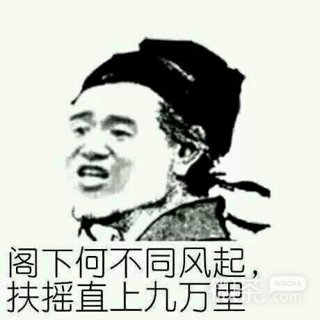 巨好玩巨可爱表情包 开心到最深处