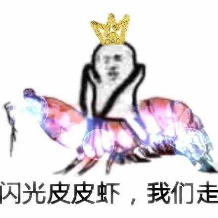 皮皮虾搞笑表情包 皮皮虾我们走