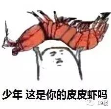 皮皮虾搞笑表情包 皮皮虾我们走