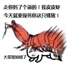 皮皮虾搞笑表情包 皮皮虾我们走