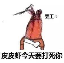 皮皮虾搞笑表情包 皮皮虾我们走