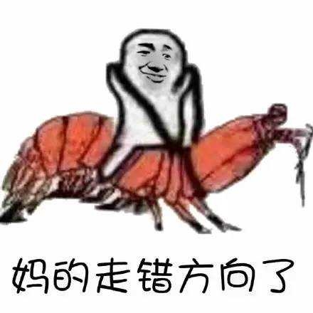 皮皮虾搞笑表情包 皮皮虾我们走