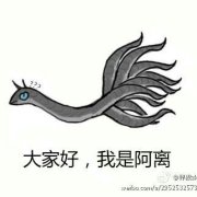 白浅日常表情包 白浅你赖不掉了
