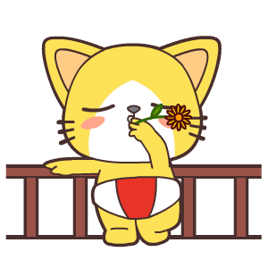 宝宝猫激萌微信表情包合集