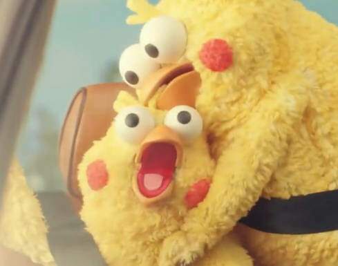 鹦鹉兄弟良心表情包 你的良心不会痛吗