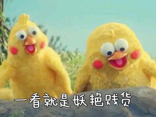 鹦鹉兄弟良心表情包 你的良心不会痛吗